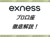 Exness プロ口座徹底解説！
