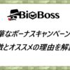 BigBoss 特徴とオススメの理由を解説！